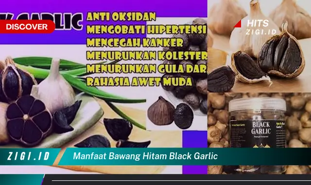 Manfaat Bawang Hitam Black Garlic: Penemuan Menakjubkan yang Perlu Anda Tahu