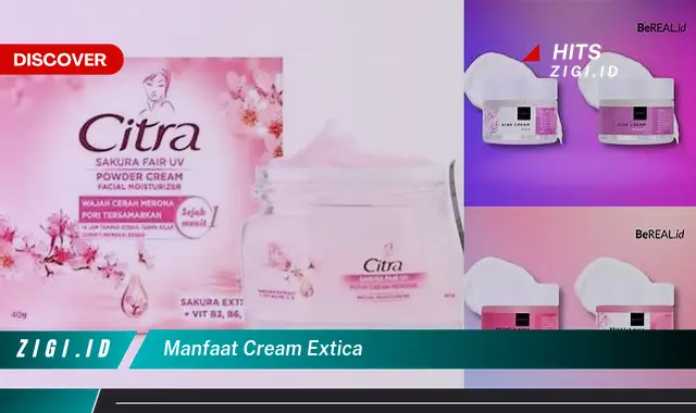 Temukan 22 Manfaat Cream Extica yang Jarang Diketahui