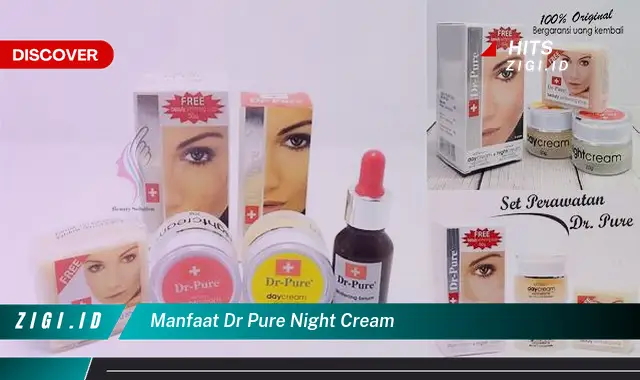 Manfaat Jarang Diketahui dari Dr Pure Night Cream yang Wajib Kamu Tahu