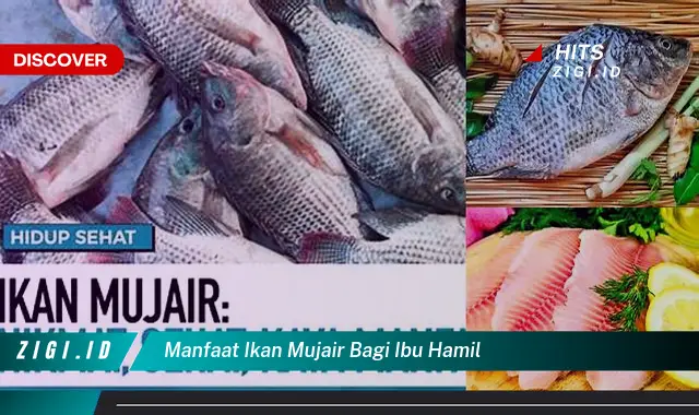 Temukan 7 Manfaat Ikan Mujair bagi Ibu Hamil yang Jarang Diketahui