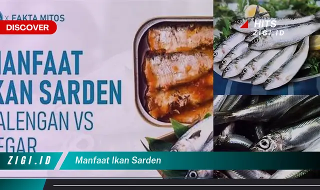 Temukan 10 Manfaat Ikan Sarden yang Jarang Diketahui
