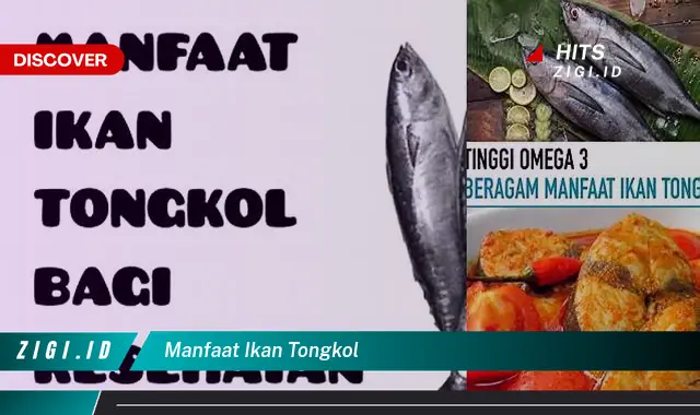 Terungkap! 6 Manfaat Ikan Tongkol yang Jarang Diketahui