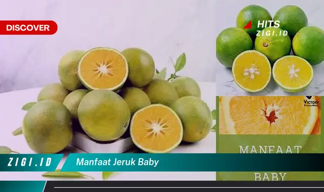 10 Manfaat Jeruk Baby yang Jarang Diketahui, Wajib Tahu!