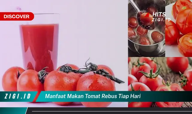 Temukan Manfaat Makan Tomat Rebus Tiap Hari yang Jarang Diketahui