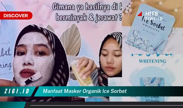 Temukan Manfaat Masker Organik Ice Sorbet yang Jarang Diketahui