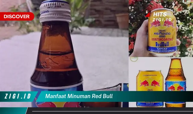 Temukan 10 Manfaat Minuman Red Bull yang Jarang Diketahui