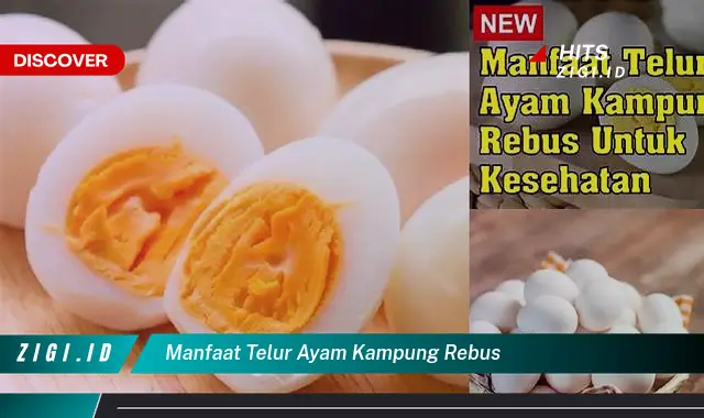 Ungkap Manfaat Rebusan Telur Ayam Kampung yang Jarang Diketahui
