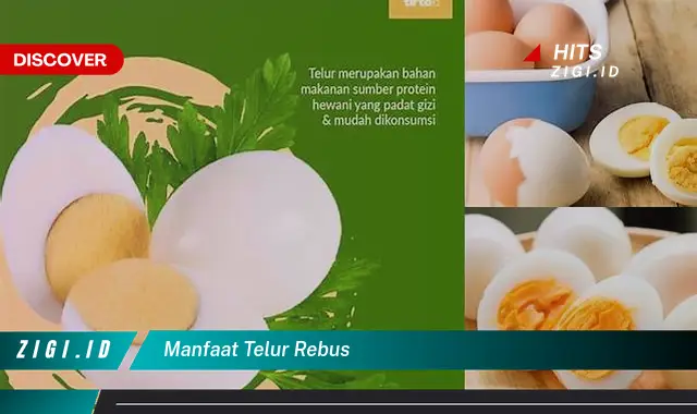 Temukan 5 Manfaat Telur Rebus yang Jarang Diketahui, Menakjubkan!
