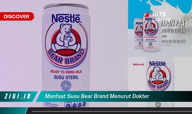Temukan Manfaat Susu Bear Brand untuk Kesehatan yang Jarang Diketahui!