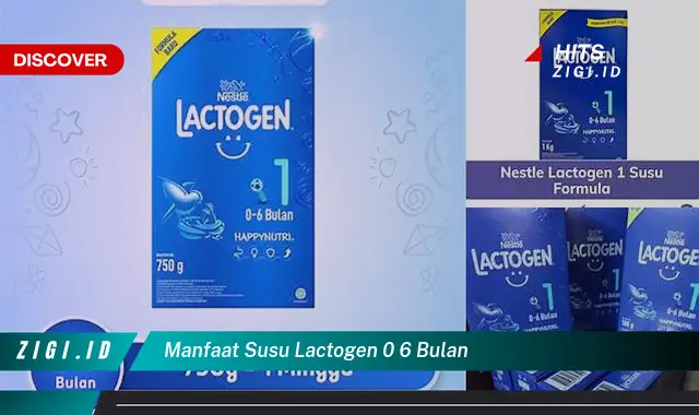 Ungkap Manfaat Susu Lactogen 0 &ndash; 6 Bulan yang Jarang Diketahui