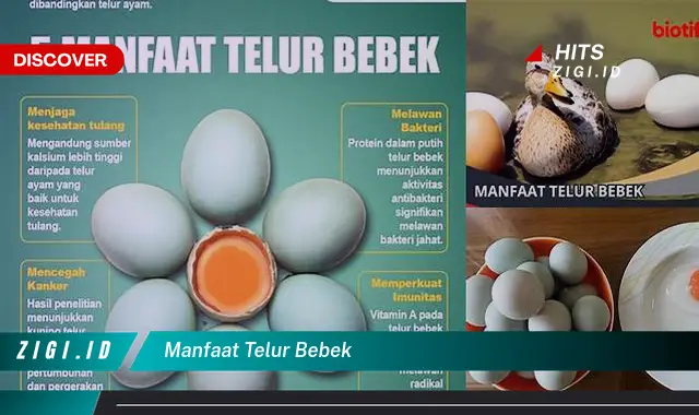 Manfaat Telur Bebek yang Jarang Diketahui, Wajib Anda Ketahui!