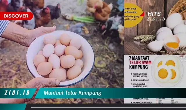 Manfaat Telur Kampung yang Wajib Anda Ketahui