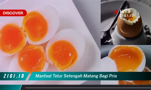 Temukan Manfaat Telur Setengah Matang yang Perlu Anda Ketahui Untuk Pria!
