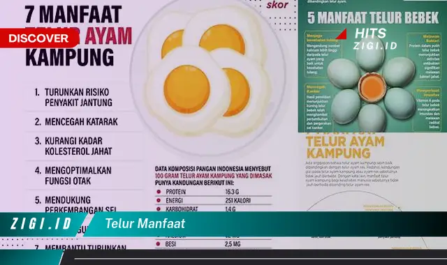 Temukan 9 Manfaat Telur yang Jarang Diketahui