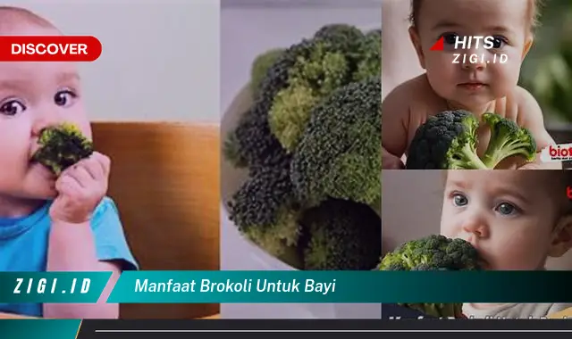 Temukan Manfaat Brokoli untuk Bayi yang Jarang Diketahui