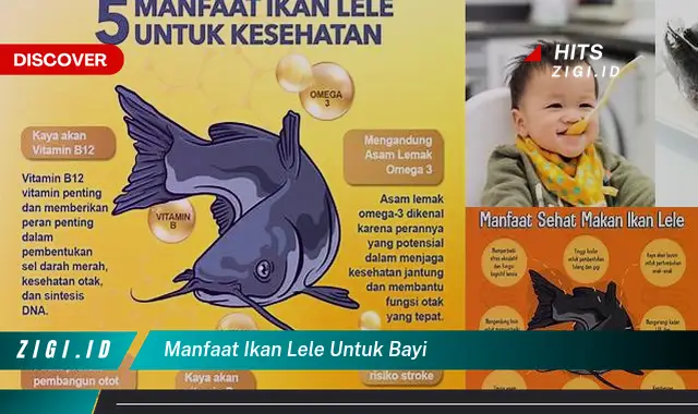 Temukan Manfaat Luar Biasa Ikan Lele untuk Bayi yang Jarang Diketahui!