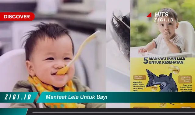 Temukan 8 Manfaat Ikan Lele untuk Bayi yang Jarang Diketahui