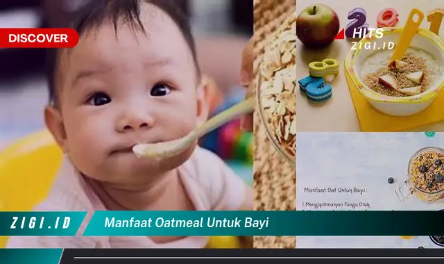 Temukan Manfaat Oatmeal untuk Bayi yang Jarang Diketahui