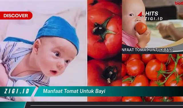 Temukan Rahasia Manfaat Tomat untuk Bayi yang Jarang Diketahui