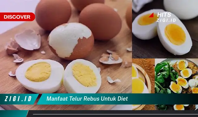 Temukan 5 Manfaat Telur Rebus untuk Diet yang Jarang Diketahui