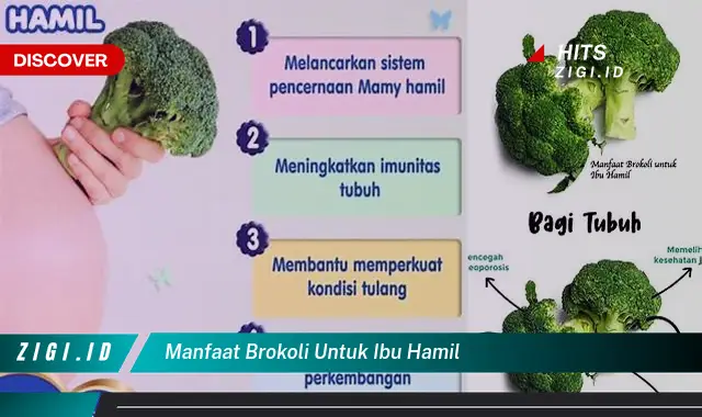 Temukan Manfaat Brokoli untuk Ibu Hamil yang Tak Terduga dan Wajib Diketahui
