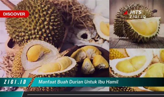 Temukan Manfaat Buah Durian untuk Ibu Hamil yang Jarang Diketahui