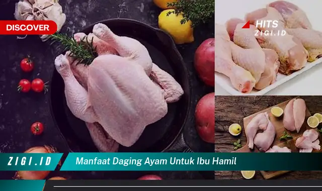 Ungkap Manfaat Daging Ayam untuk Ibu Hamil, Jarang Diketahui!