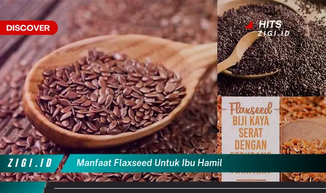 Manfaat Flaxseed untuk Ibu Hamil yang Jarang Diketahui