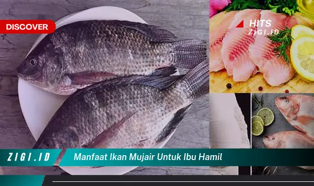 Temukan Manfaat Ikan Mujair untuk Ibu Hamil yang Jarang Diketahui
