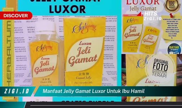 Temukan Manfaat Jelly Gamat Luxor untuk Ibu Hamil yang Jarang Diketahui