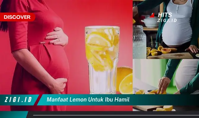 Manfaat Lemon untuk Ibu Hamil yang Jarang Diketahui
