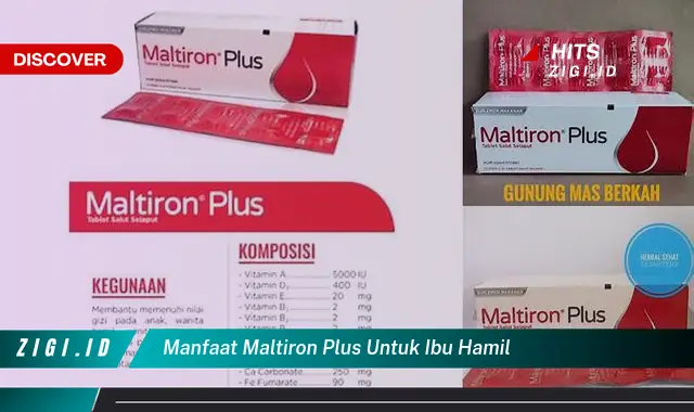 Temukan Manfaat Maltiron Plus untuk Ibu Hamil yang Jarang Diketahui