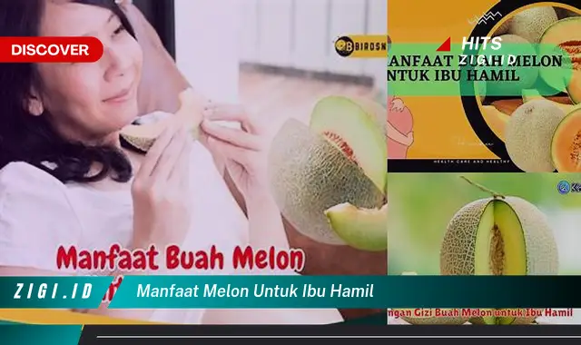 Temukan Khasiat Melon untuk Ibu Hamil yang Mungkin Jarang Diketahui