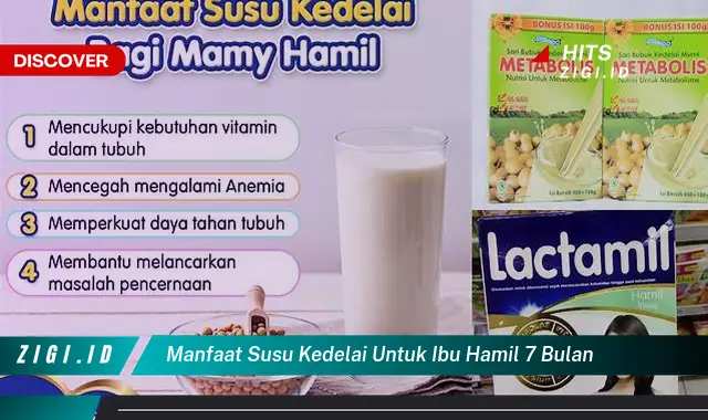Ungkap Manfaat Susu Kedelai untuk Ibu Hamil 7 Bulan yang Jarang Diketahui