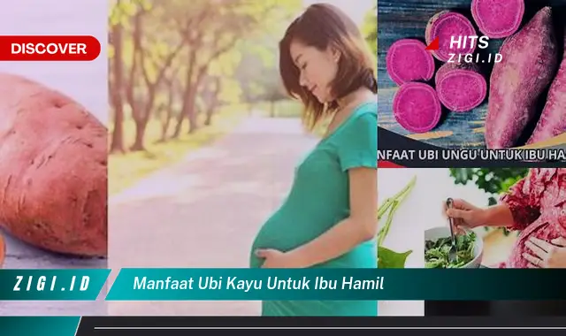 Temukan 9 Manfaat Ubi Kayu untuk Ibu Hamil yang Jarang Diketahui