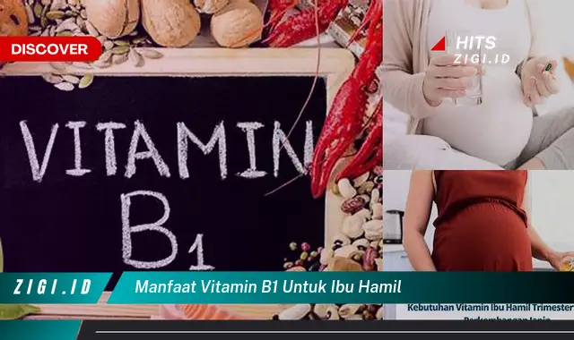 Temukan 9 Manfaat Vitamin B1 untuk Ibu Hamil yang Wajib Diketahui