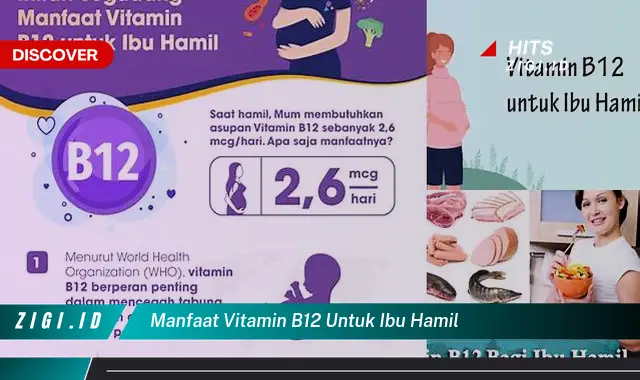 Temukan 7 Manfaat Vitamin B12 untuk Ibu Hamil yang Jarang Diketahui