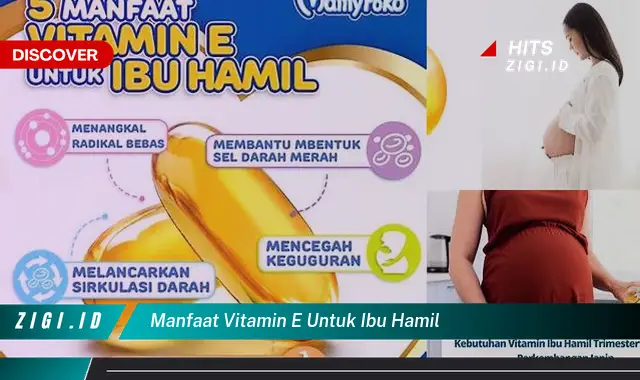 Temukan Manfaat Vitamin E untuk Ibu Hamil yang Jarang Diketahui