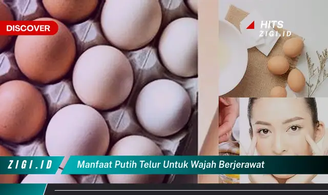Manfaat Mengejutkan Putih Telur untuk Jerawat: Rahasia Wajah Bersih dan Cerah