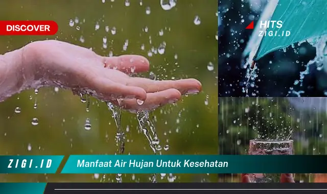Temukan 8 Manfaat Air Hujan untuk Kesehatan yang Jarang Diketahui