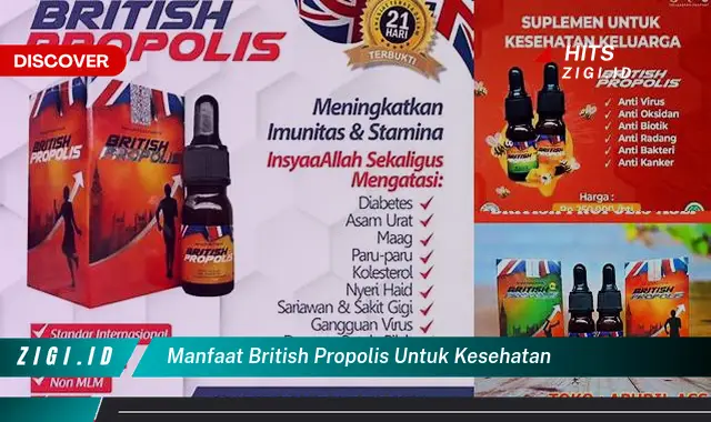 Temukan Manfaat British Propolis yang Perlu Anda Ketahui untuk Kesehatan!