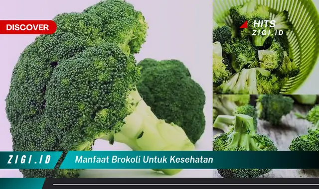 Temukan Rahasia Manfaat Brokoli yang Wajib Diketahui