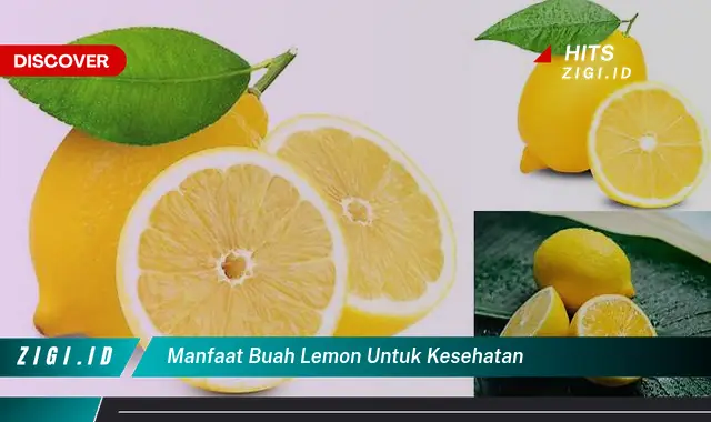 10 Rahasia Khasiat Buah Lemon untuk Kesehatan yang Jarang Diketahui