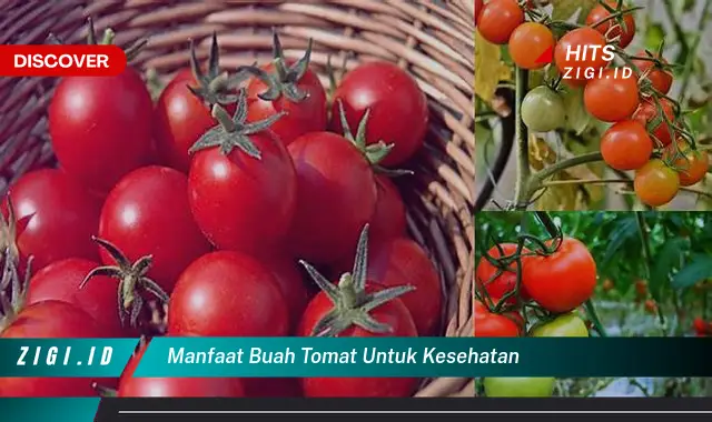 Temukan Rahasia Manfaat Tomat untuk Kesehatan yang Jarang Diketahui