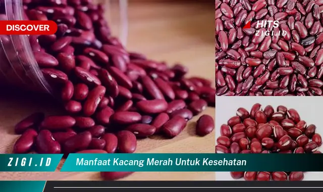 Temukan Manfaat Kacang Merah untuk Kesehatan yang Jarang Diketahui