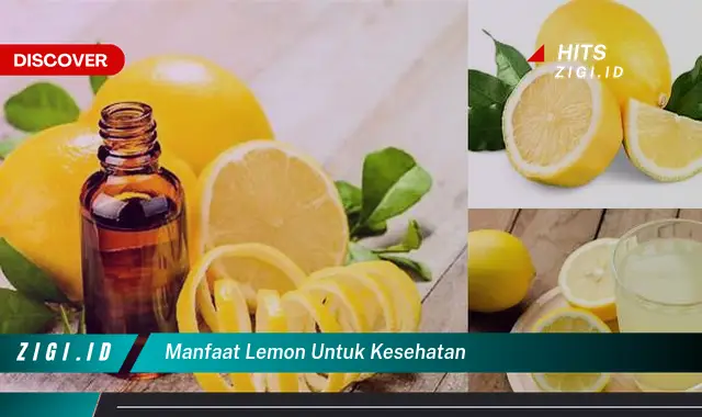 Temukan 7 Manfaat Lemon untuk Kesehatan yang Perlu Diketahui