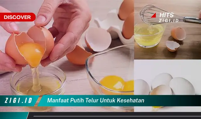 Temukan Manfaat Luar Biasa Putih Telur untuk Kesehatan yang Jarang Diketahui