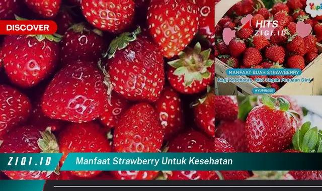 Manfaat Strawberry untuk Kesehatan yang Jarang Diketahui