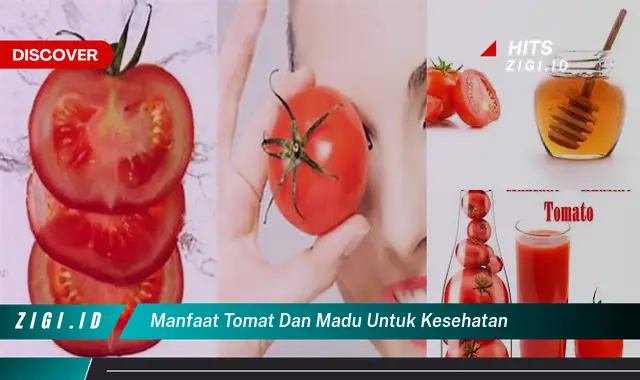 Temukan 8 Manfaat Tomat dan Madu untuk Kesehatan yang Jarang Diketahui
