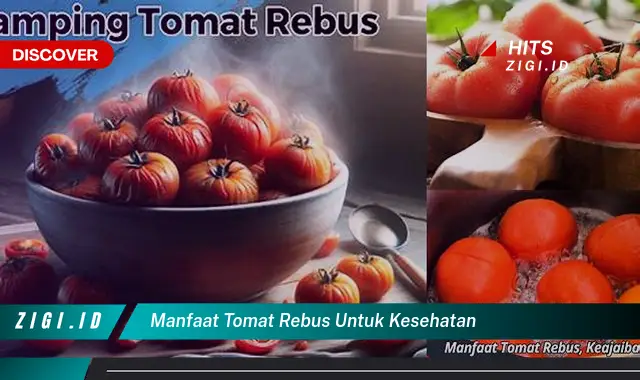 Temukan 5 Manfaat Tomat Rebus untuk Kesehatan yang Jarang Diketahui!